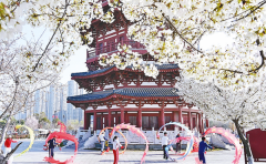 摸索出老城建新城”的洛阳模式
